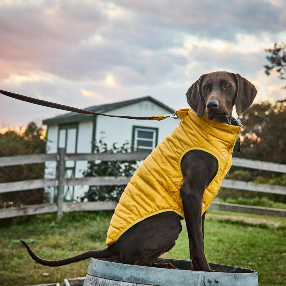 Wagwear Canada wagwearcanada