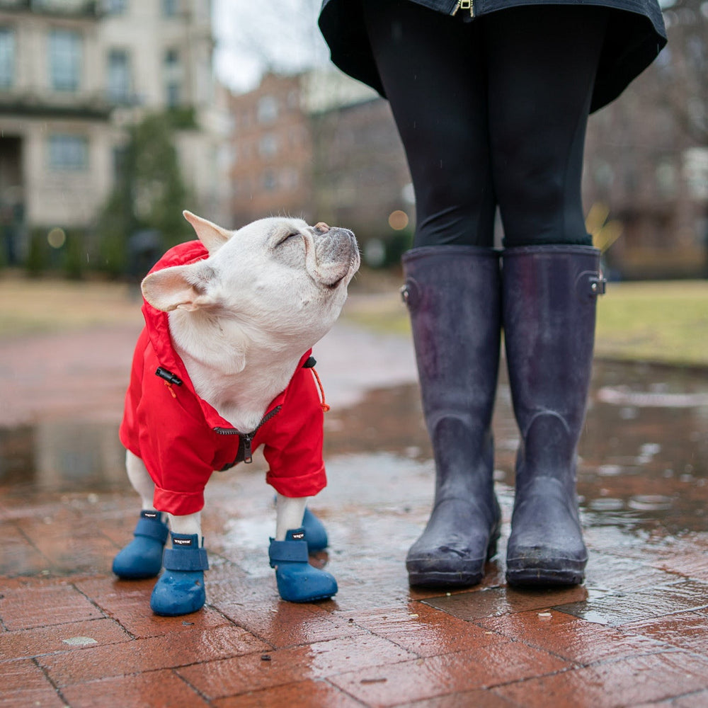 WagWellies® by wagwear wagwearcanada